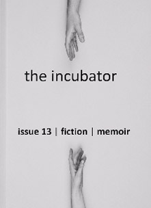 Incubator-cover
